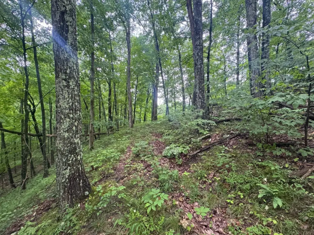 Picture 31