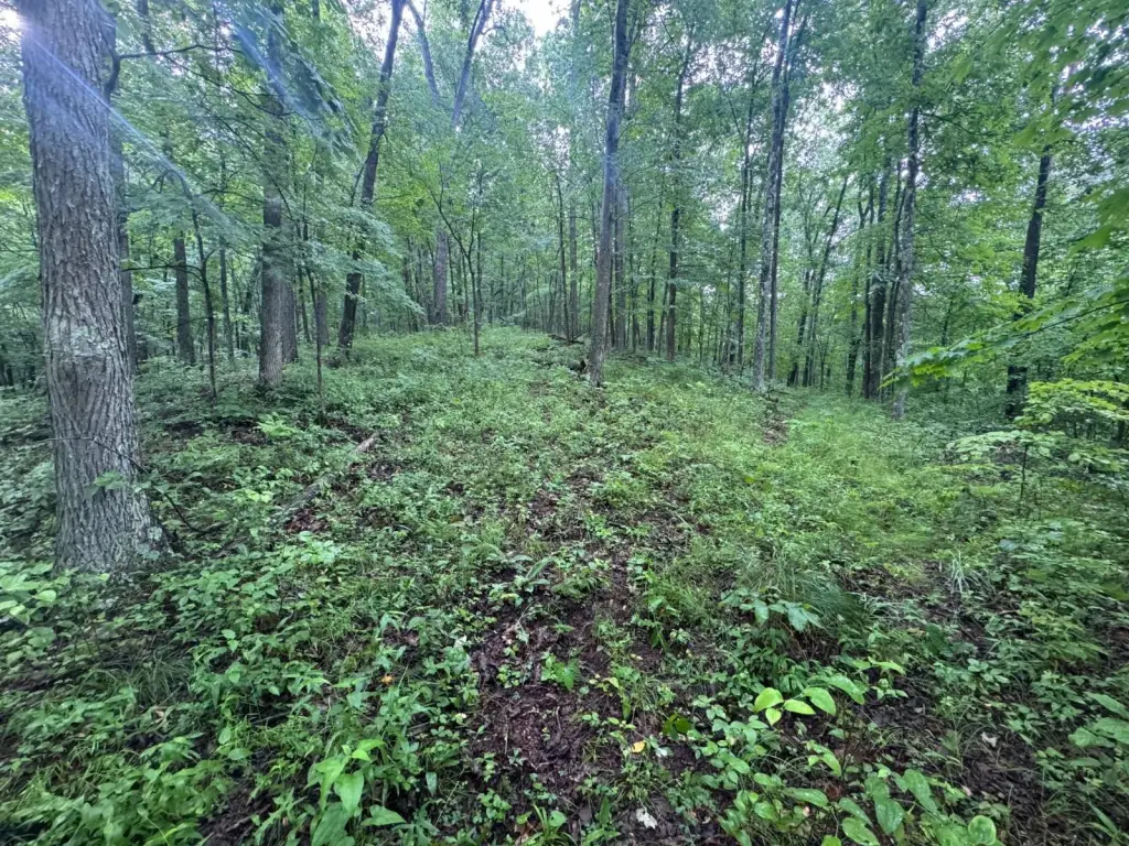 Picture 40