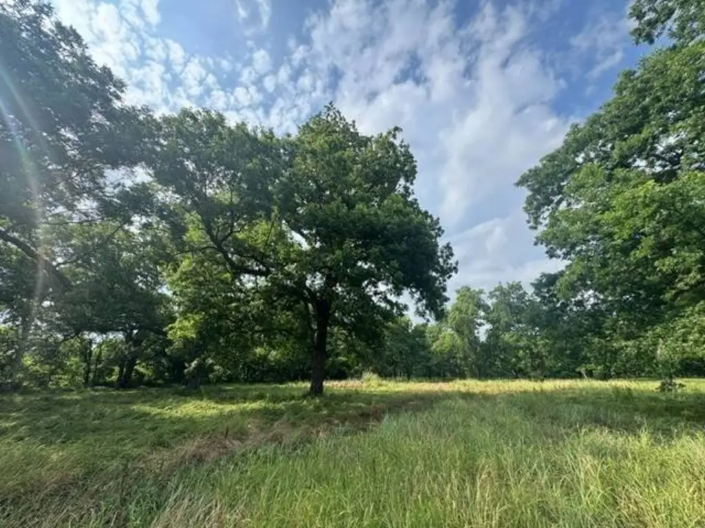 Picture 39