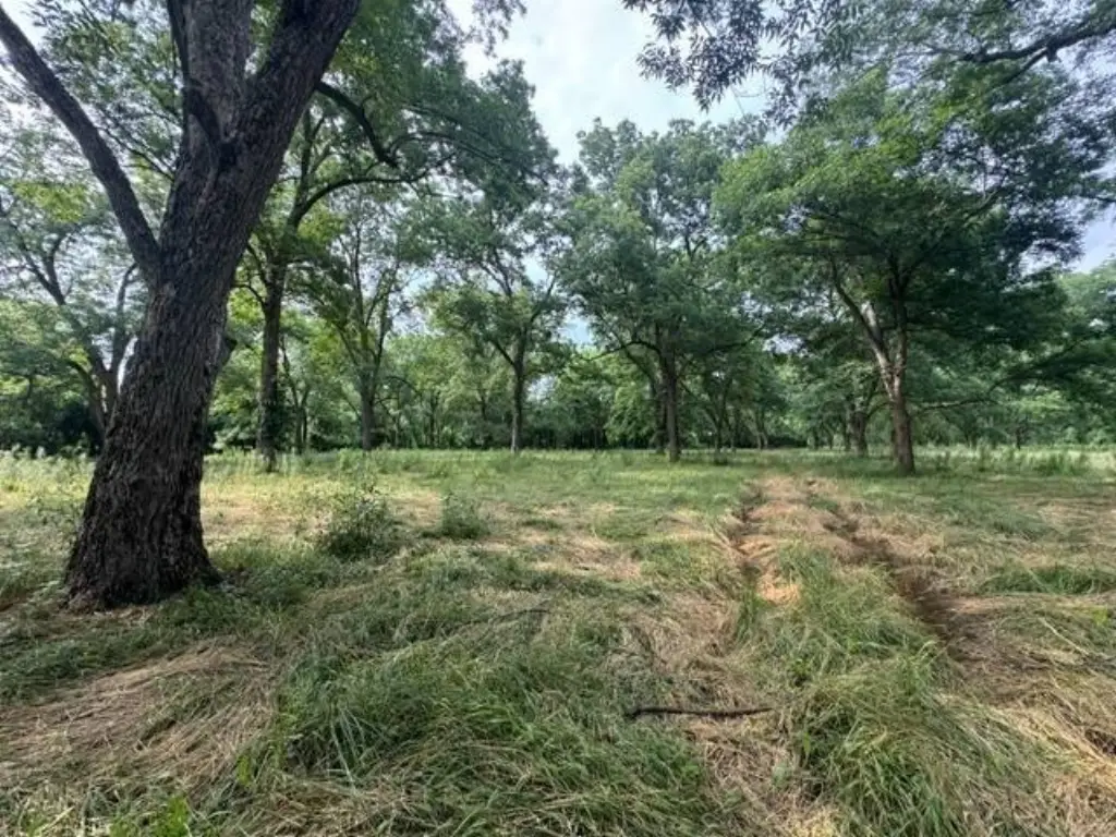 Picture 42