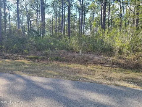 Residential Lot in Boiling Spring Lakes