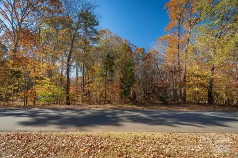Wooded Land in Waxhaw, NC