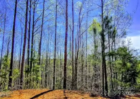 Wooded Lot in Gated Community