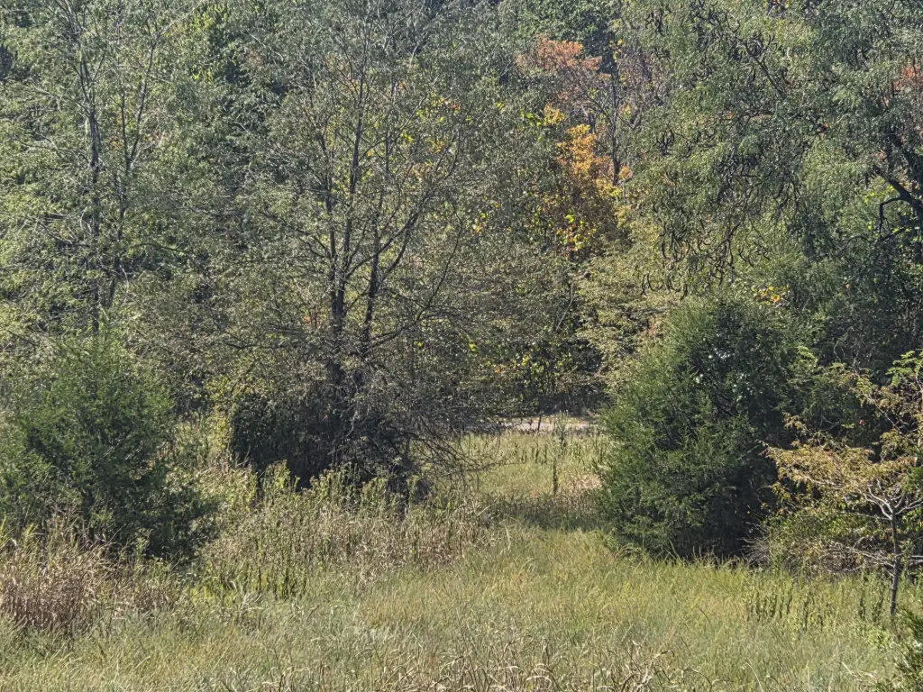 Picture 6