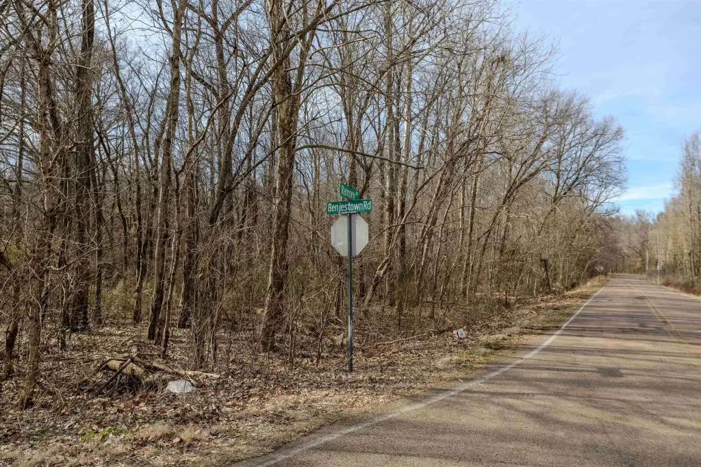 Picture 6