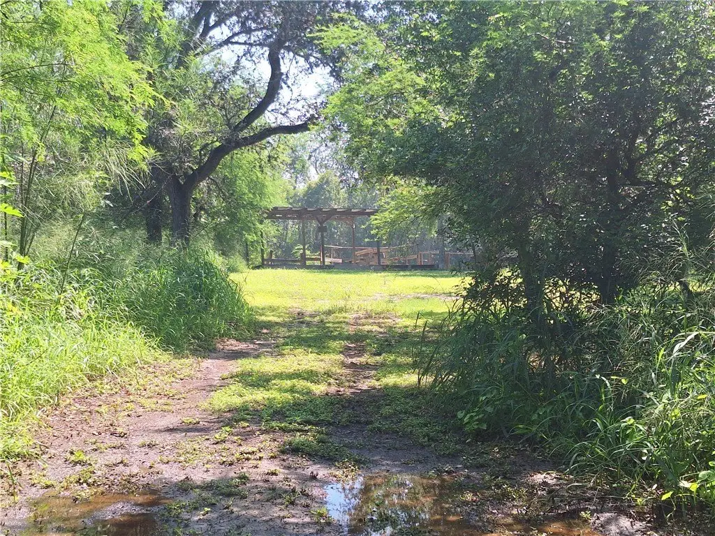 Picture 17