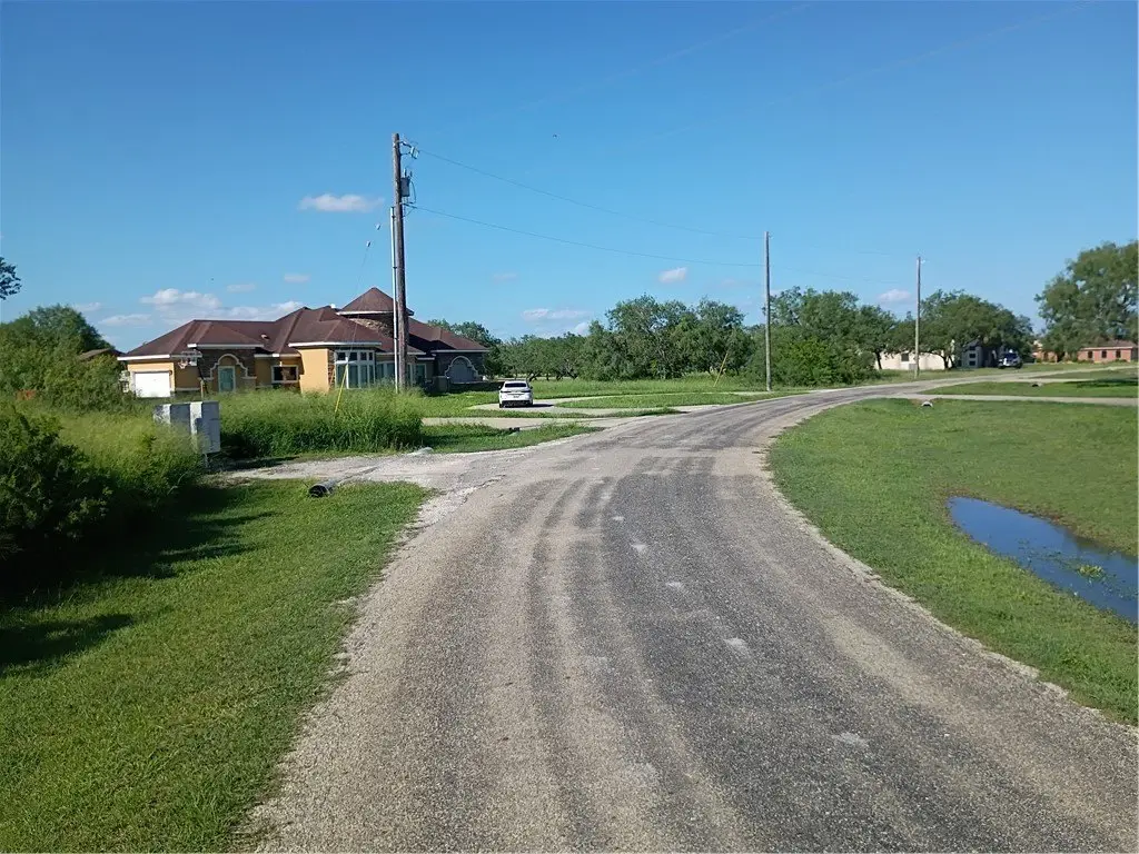 Picture 3