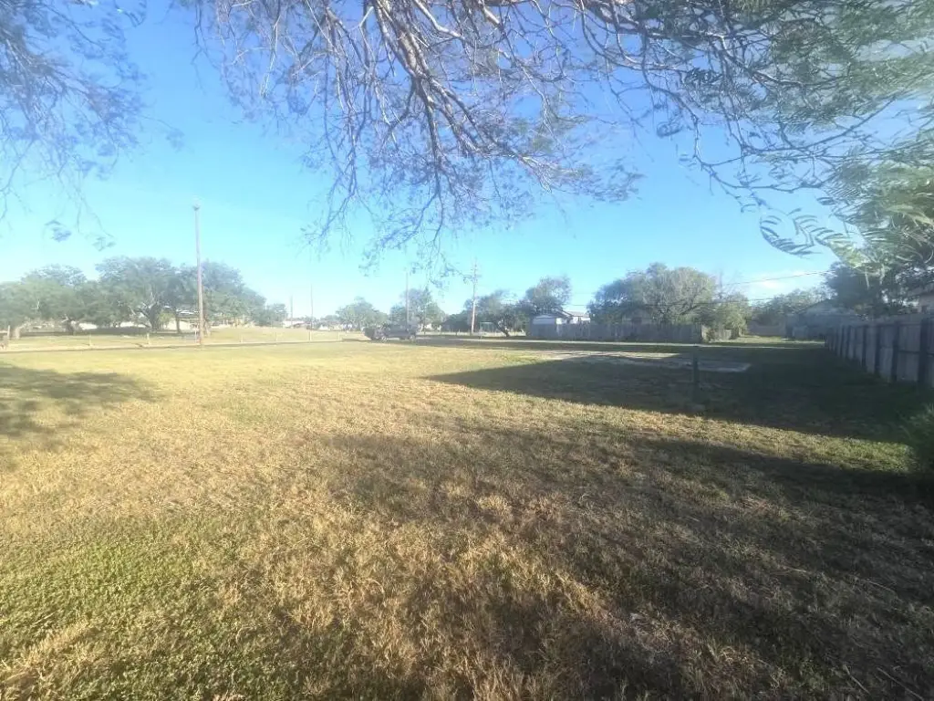 Picture 6