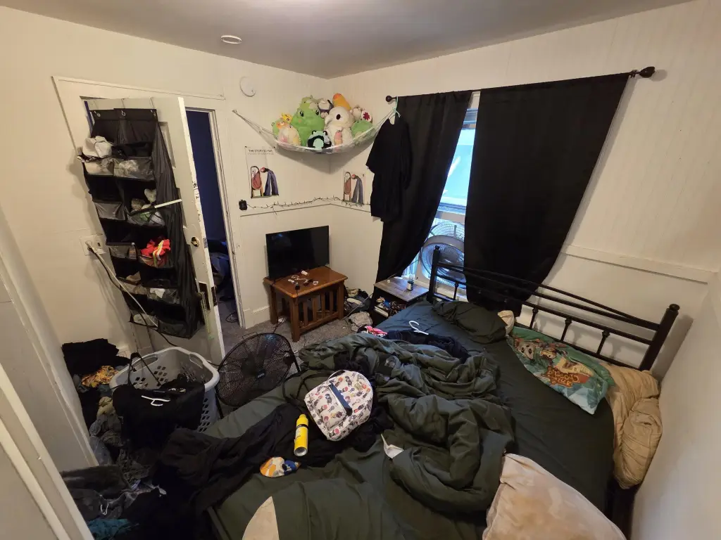 Picture 16
