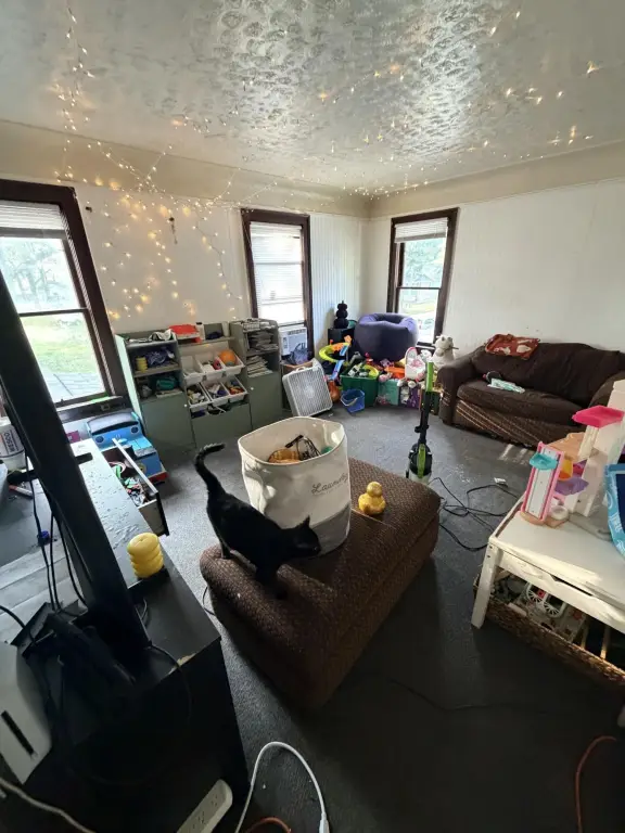 Picture 31