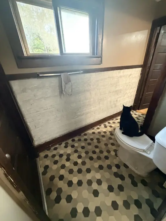 Picture 17