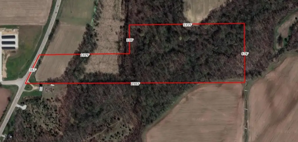 Picture 4
