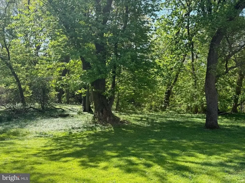 Picture 33
