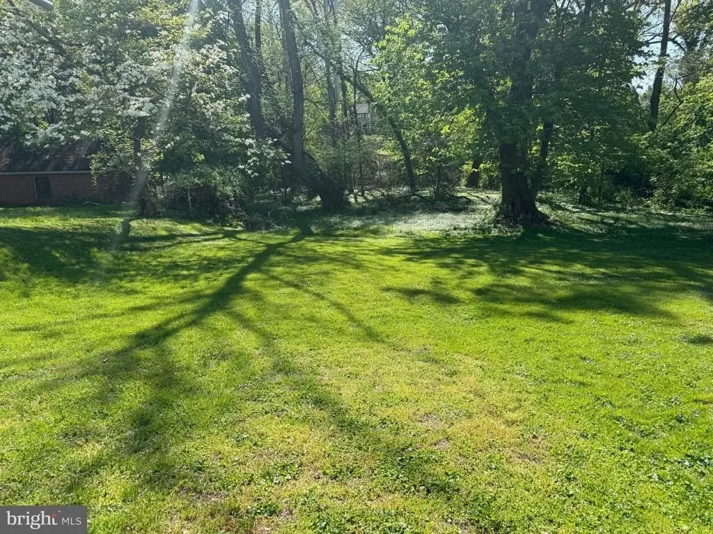 Picture 31