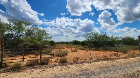 Ranch Land Near Laredo, TX