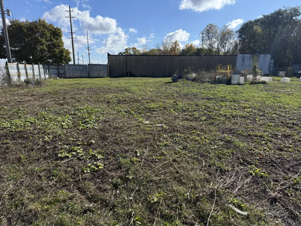 Picture 19