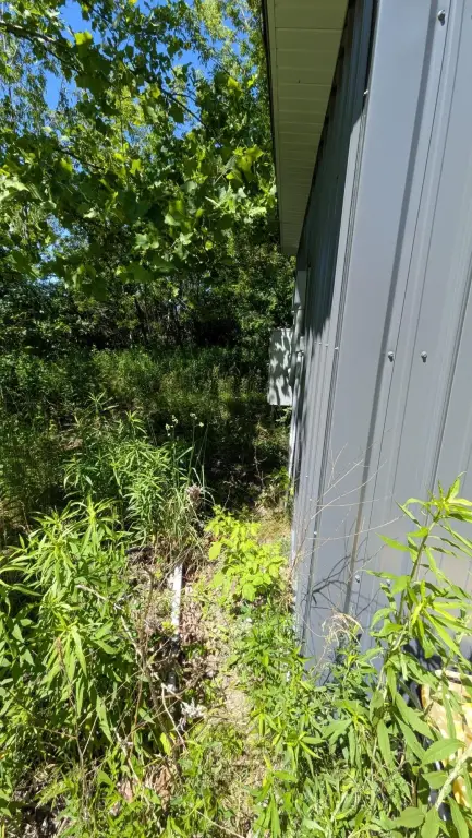 Picture 14