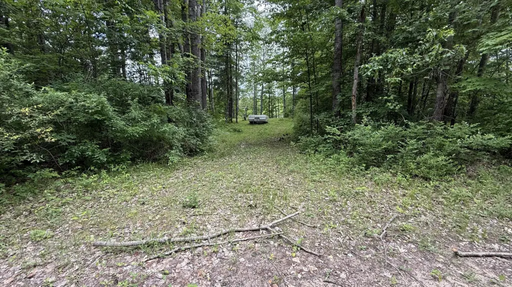 Picture 11