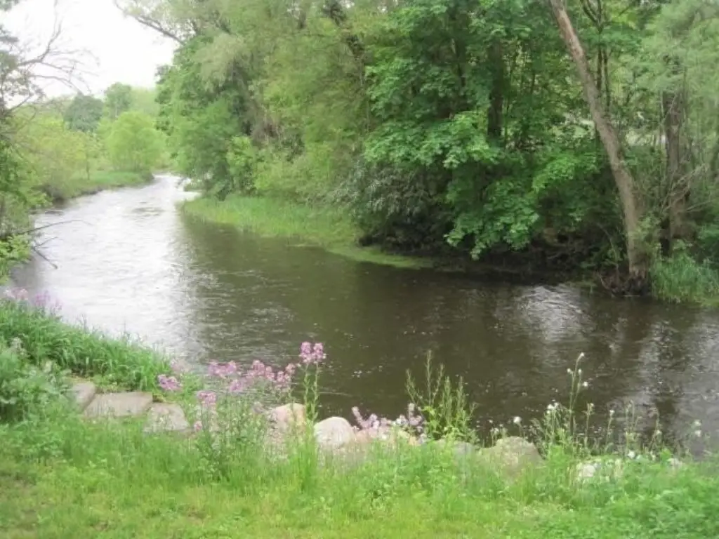 Picture 6