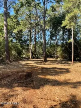 Residential Land in Dolphin Point
