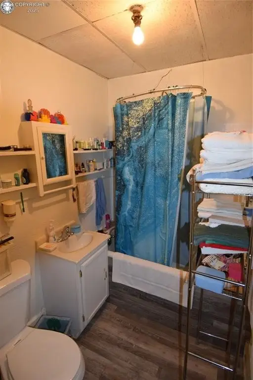 Picture 7