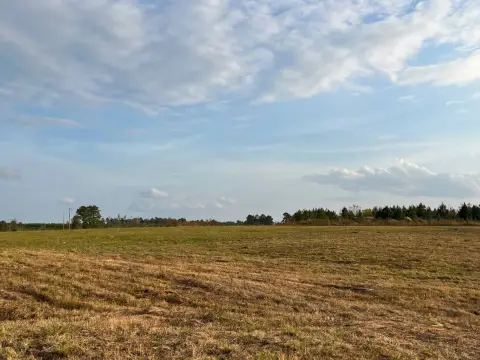 Commercial Land in High-Traffic Area