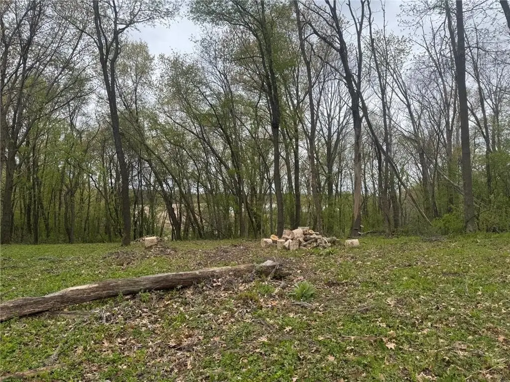 Picture 4