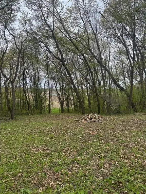 Picture 3
