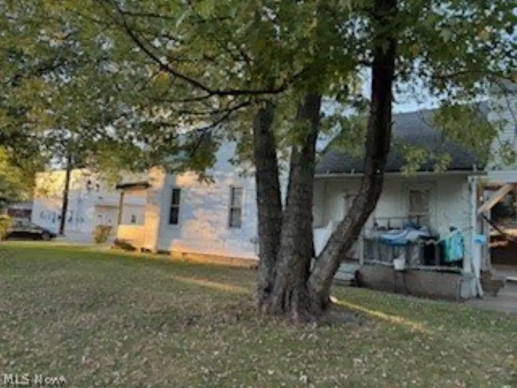 Picture 15