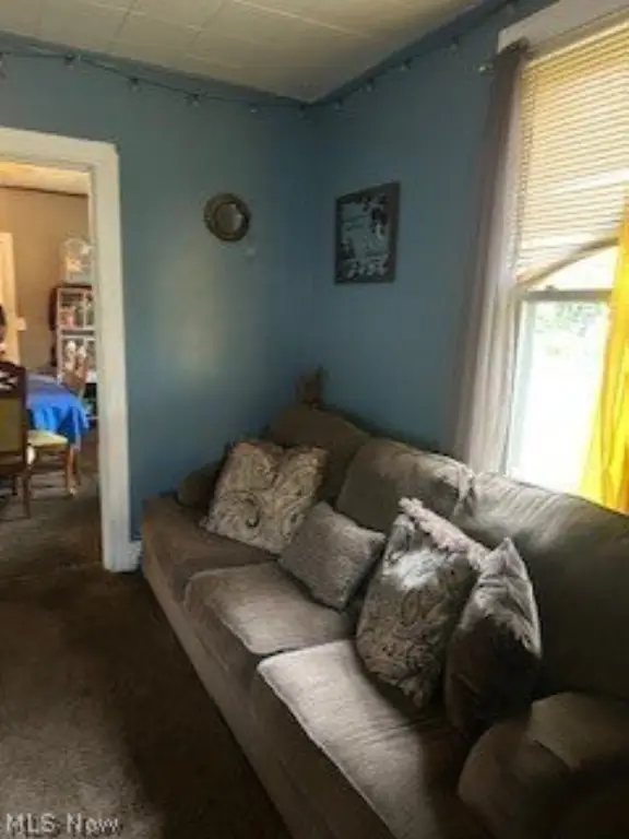 Picture 11