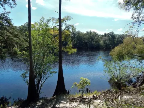 Suwannee Riverfront Wooded Land