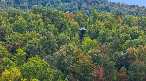 Wooded Acres with Hilltop Cabin