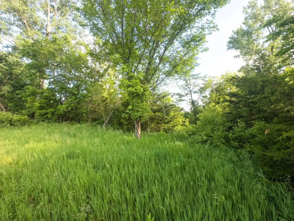 Picture 22