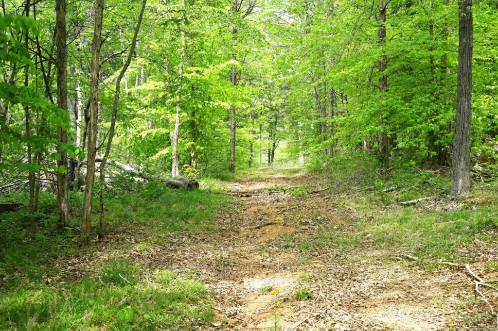 Picture 19