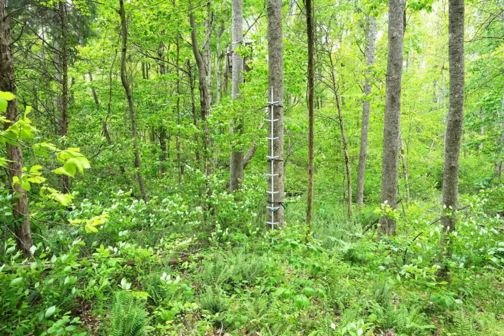 Picture 11