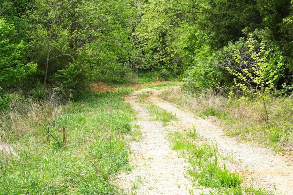 Picture 22
