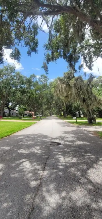 Picture 8