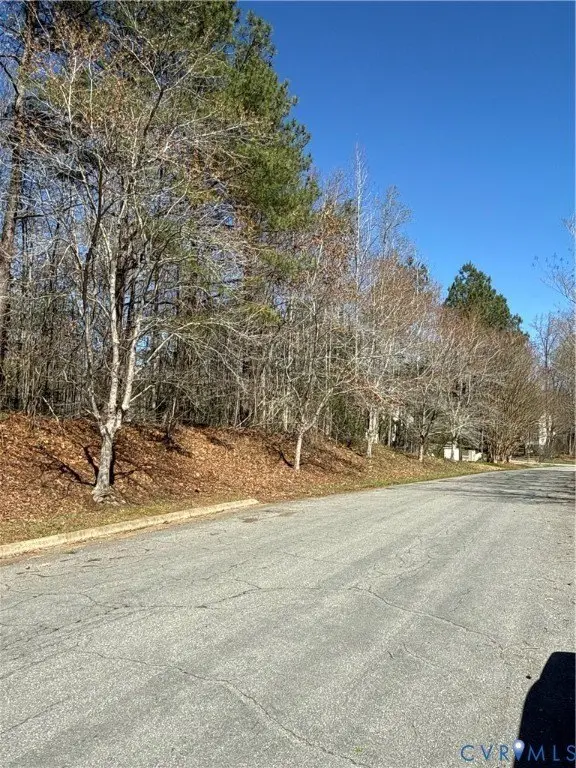 Picture 14