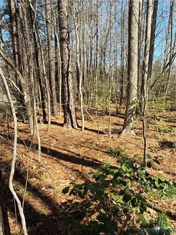 Picture 15