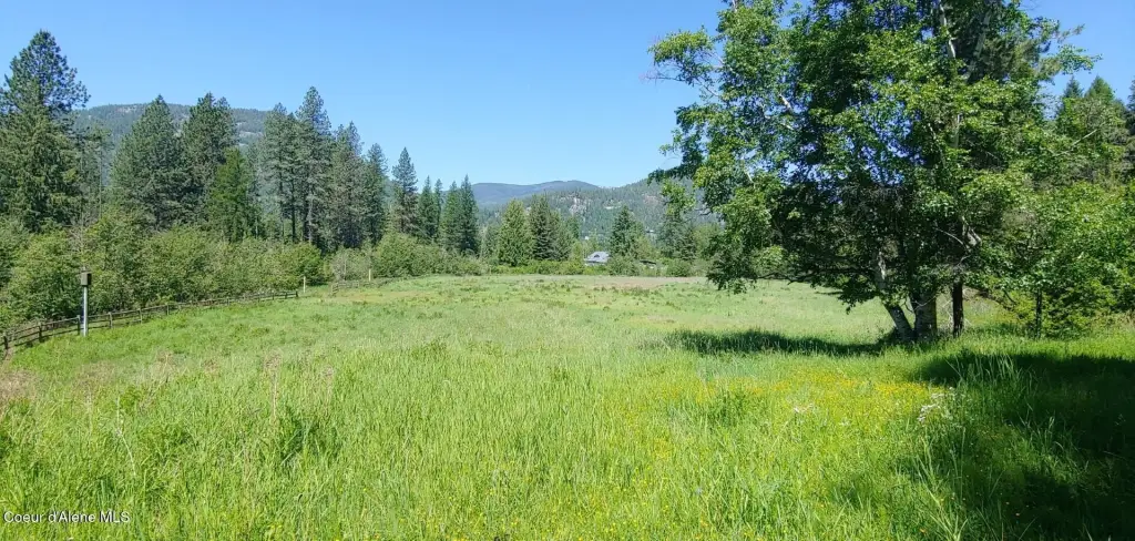 Picture 4