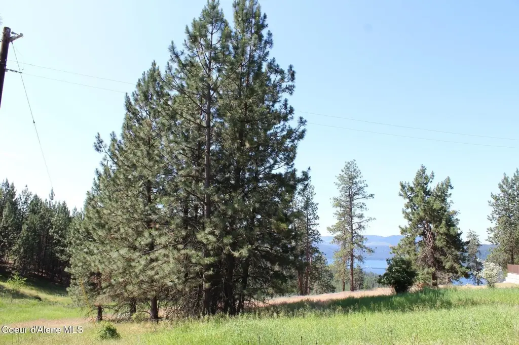 Picture 22