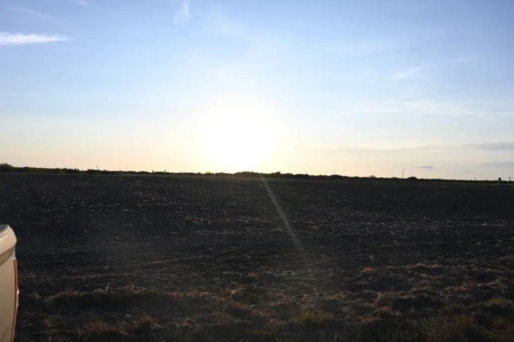 Picture 6
