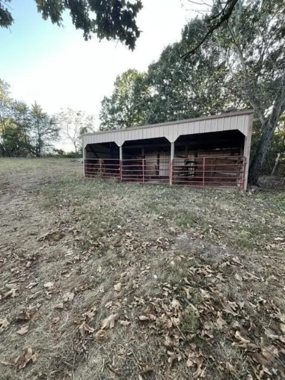 Picture 10