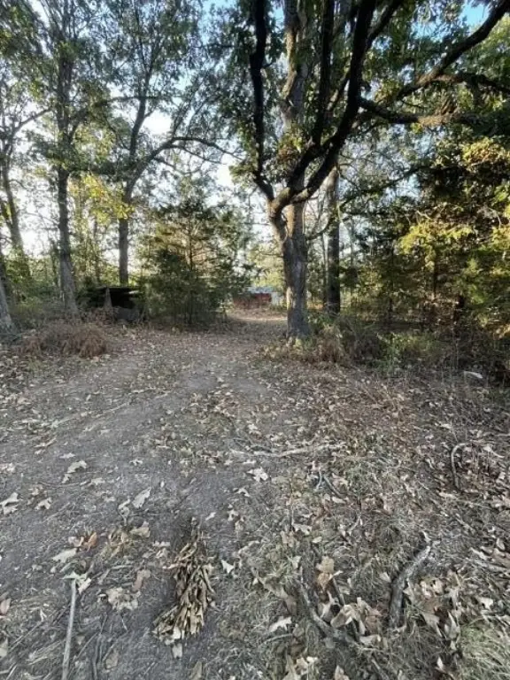 Picture 17