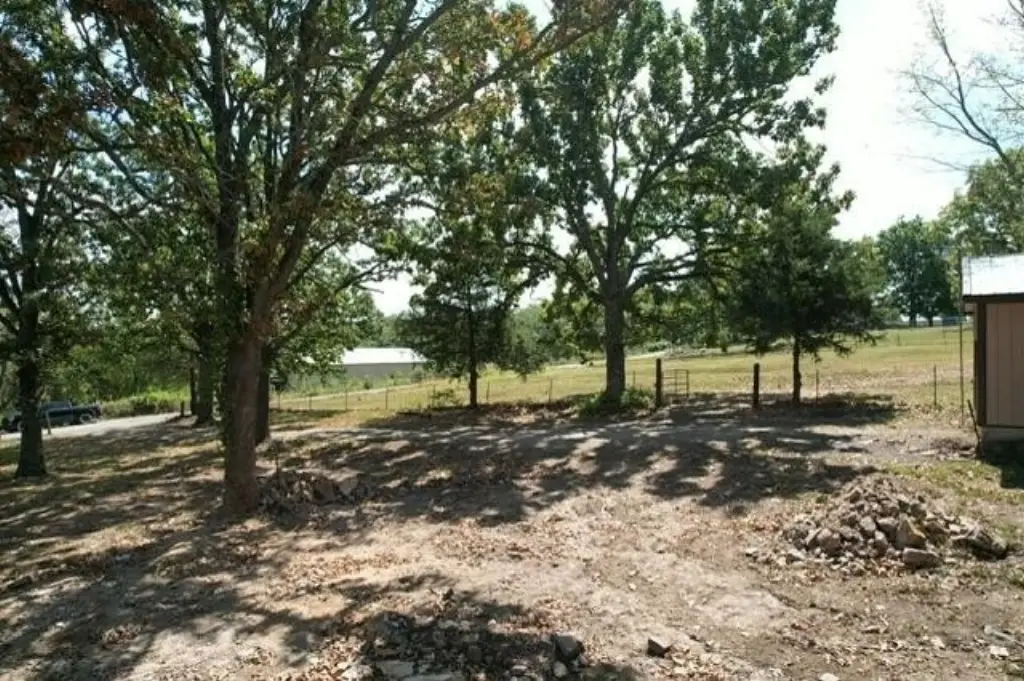 Picture 14