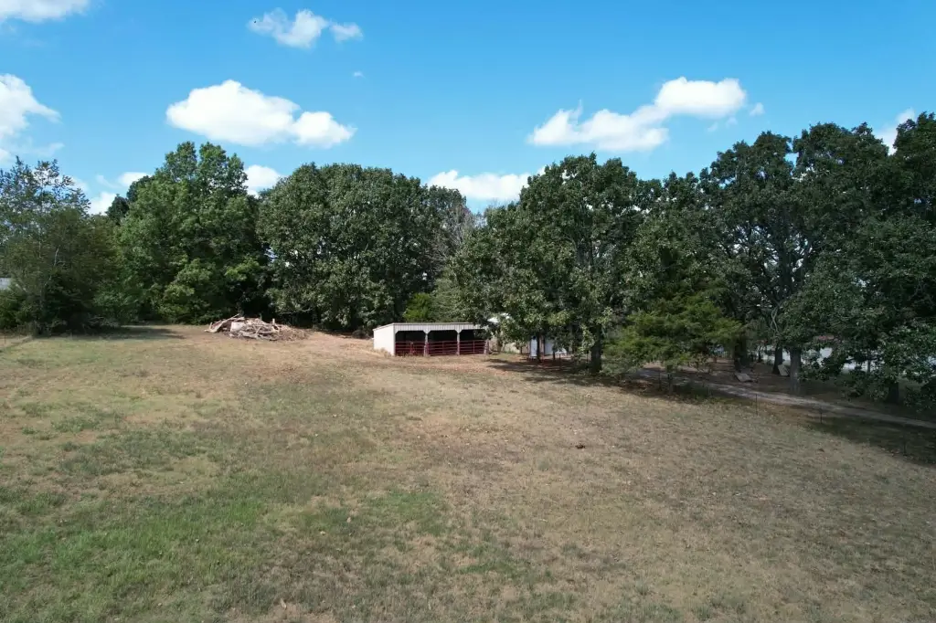 Picture 11