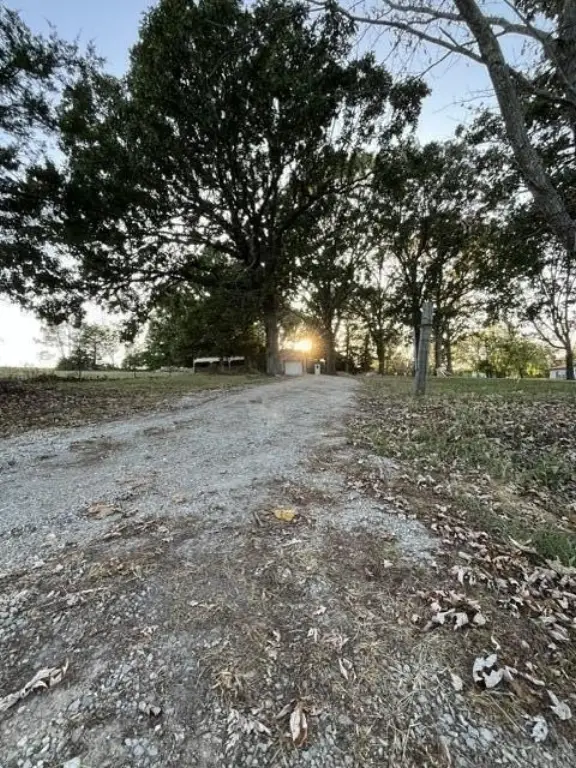 Picture 16