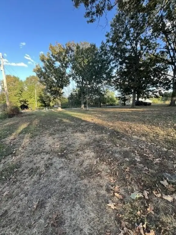 Picture 18