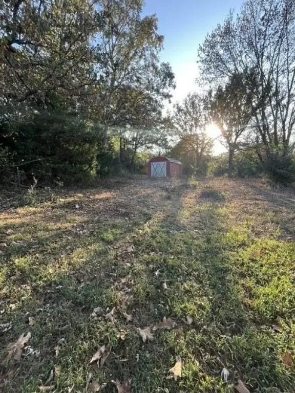 Picture 15