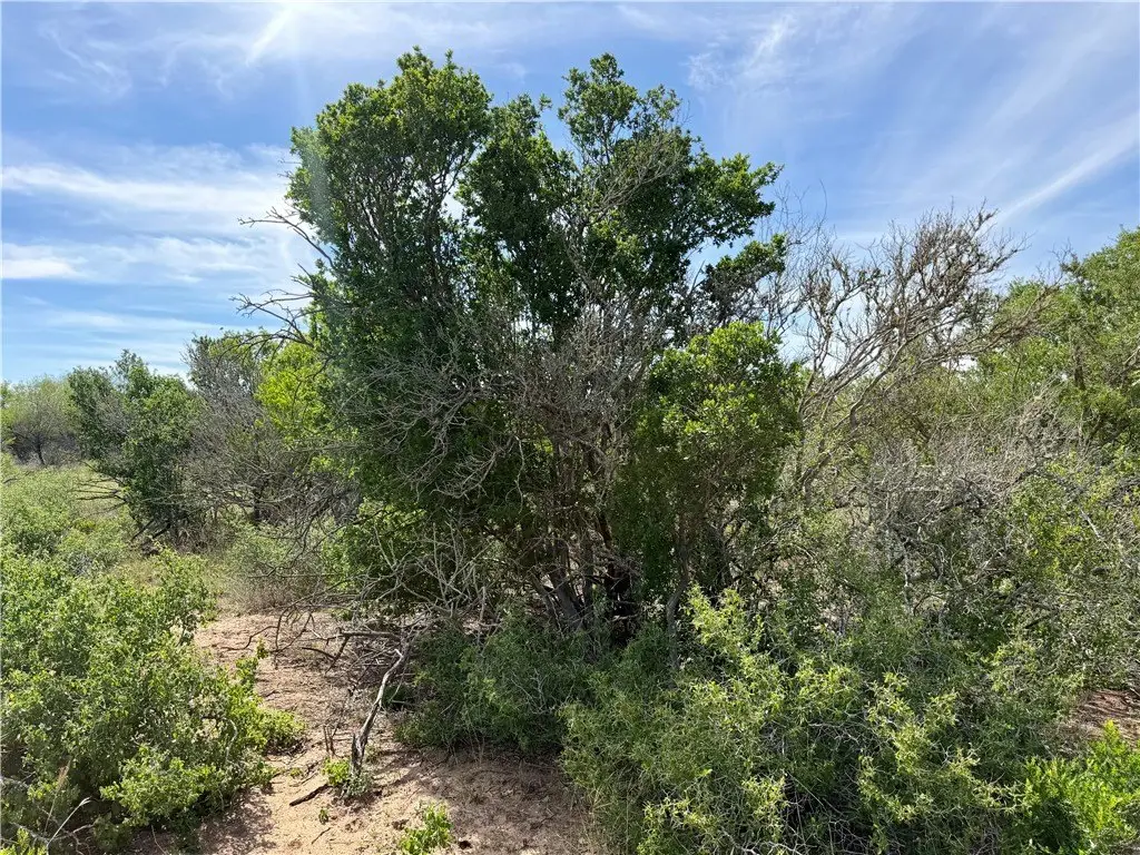 Picture 19